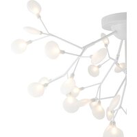 Freya Florencia FR5049CL-36W1 Image #3