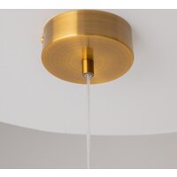 Maytoni Biology MOD367PL-L3BSK Image #5