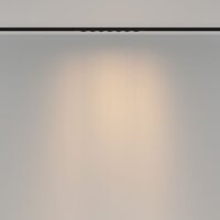 Technical Spiky TR175-1-12WTW-M-B Image #4