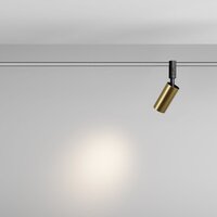 Technical Focus Led TR201-1-10W3K-M-BBS Image #5