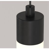 Technical Ray P022PL-L10B Image #2