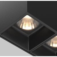 Maytoni Alfa LED C065CL-02-L12W3K-B Image #2