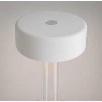 Maytoni AI Collaboration MOD229TL-L3W3K1 Image #9