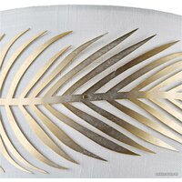Maytoni House Farn H428-WL-01-WG Image #4