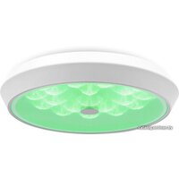 Freya FR10012CL-L24W (белый) Image #3