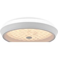 Freya FR10012CL-L24W (белый) Image #9