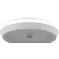 Freya FR10012CL-L24W (белый) Image #10