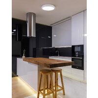 Freya FR10012CL-L24W (белый) Image #11