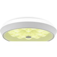 Freya FR10012CL-L24W (белый) Image #2