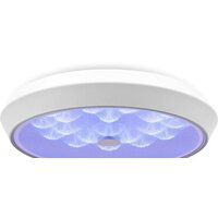 Freya FR10012CL-L24W (белый) Image #5