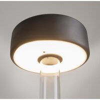 Maytoni AI Collaboration MOD229TL-L3B3K1 Image #9