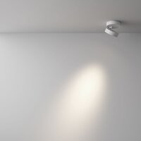 Technical Magic C022CL-7W4K-W-1 Image #5