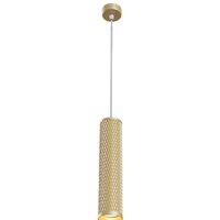 Maytoni Shelby P038PL-01G