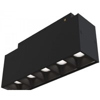 Maytoni TR014-2-10W3K-B