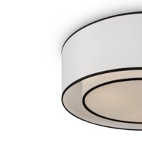 Maytoni Bergamo MOD613CL-03W Image #3