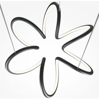 Maytoni Curve MOD241PL-L60BK Image #4
