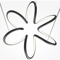 Maytoni Curve MOD241PL-L60BK Image #2