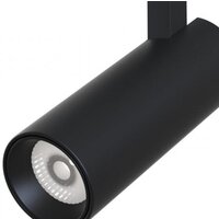 Maytoni TR019-2-10W4K-B Image #3