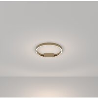Maytoni Rim MOD058CL-L25BSK Image #4
