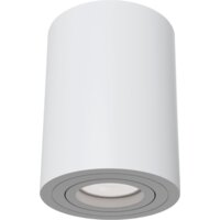 Maytoni Alfa C016CL-01W