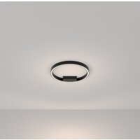 Maytoni Rim MOD058CL-L25BK Image #4