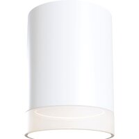 Maytoni Pauline C008CW-01W