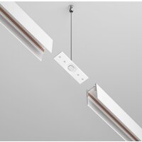Maytoni Technical TRA034C-21W Image #4