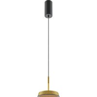 Maytoni El MOD041PL-L15G3K