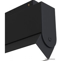 Maytoni TR013-2-10W3K-B Image #3