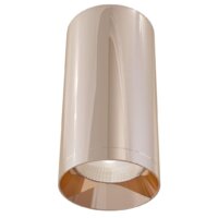 Maytoni Alfa C010CL-01RG Image #1