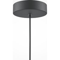 Maytoni Basic colors MOD167PL-01B Image #5