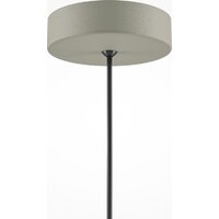 Maytoni Basic colors MOD168PL-01BG Image #5