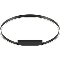 Maytoni Rim MOD058CL-L50BK Image #1