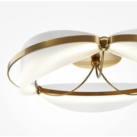 Maytoni Breeze MOD281CL-L45BS3K Image #4