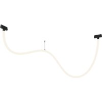 Maytoni Exility TR101-2-50W4K-B