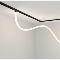 Maytoni Exility TR101-2-50W4K-B Image #2