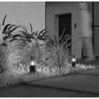 Maytoni Amas O432FL-01GF Image #5