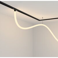 Maytoni Exility TR101-2-50W3K-B Image #2