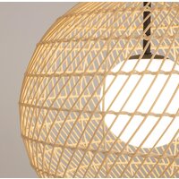 Maytoni Cane MOD204PL-01BG1 Image #10