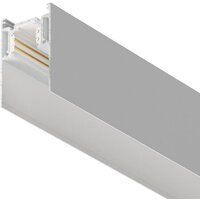 Maytoni Technical Gravity TRX010-412W