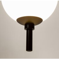 Maytoni The Sixth Sense Z020PL-L6B3K Image #8