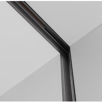 Maytoni Technical Exility TRA034CL-42B Image #3