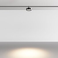 Technical Zon TR204-1-12W3K-B Image #4