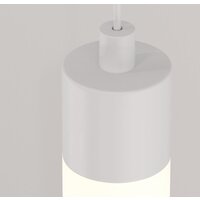 Technical Ray P022PL-L20W3K Image #3