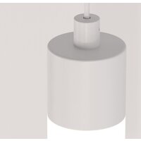 Technical Ray P022PL-L10W Image #3