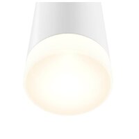 Maytoni Dafne C027WL-L10W Image #2