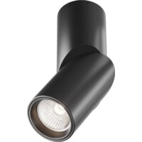 Maytoni Dafne C027CL-L10B4K Image #1