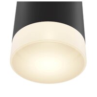 Maytoni Dafne C027WL-L10B Image #3