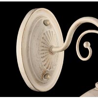 Freya Benoit FR2566-WL-01-WG Image #5