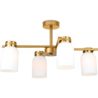 Freya Kamelia FR5446PL-04BS1